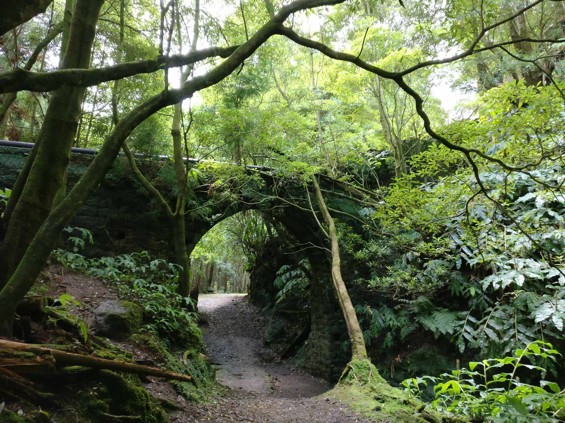Isla de São Miguel  - Wanderungen